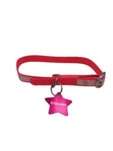 COLLAR WITH STAR FRONT