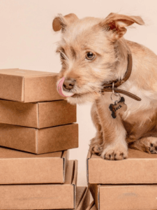 TERRIER ΚΡΕΜΑΣΤΟ ΙΝΟΧ