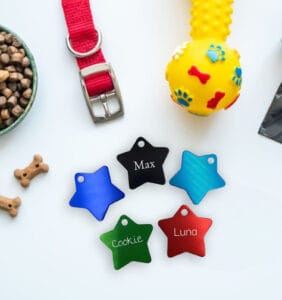 ΑΣΤΕΡΑΚΙΑ-3